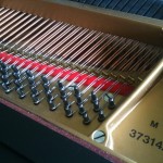 Farley's piano tuning pins