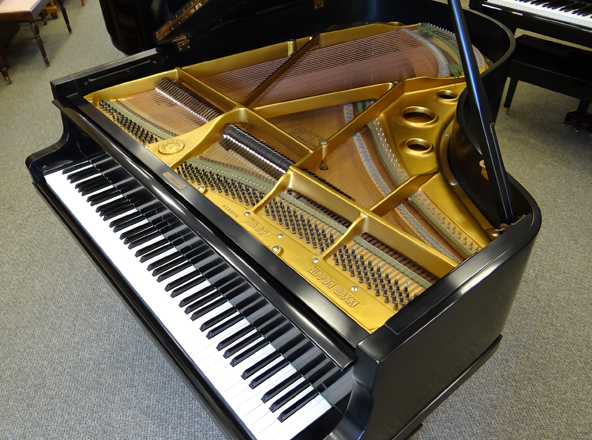 grand piano top view strings