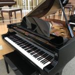 Used baby grand petite grand black Fort Myers Naples Bonita Springs