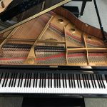 Used baby grand petite grand black Fort Myers Naples Bonita Springs